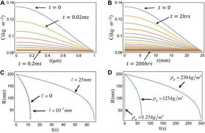 Theoretical Analysis on the Stability of Single Bulk Nanobubble